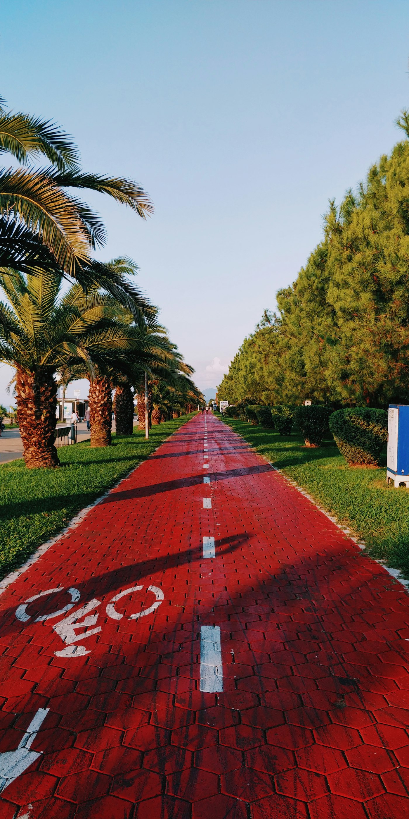 Le boulevard de Batoumi bordé de palmiers